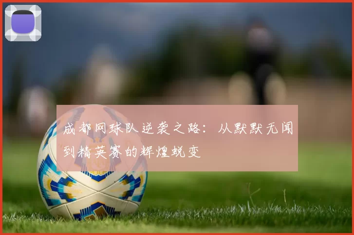 成都网球队逆袭之路：从默默无闻到精英赛的辉煌蜕变
