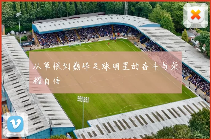 从草根到巅峰足球明星的奋斗与荣耀自传
