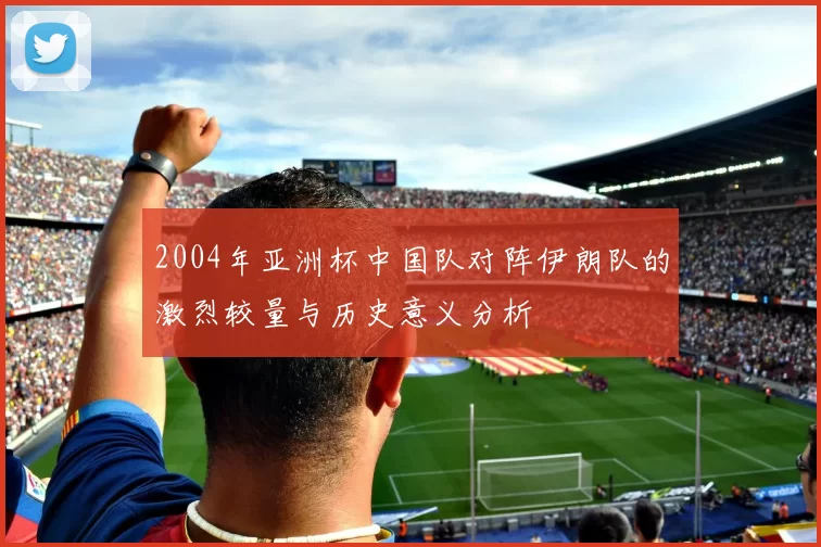 2004年亚洲杯中国队对阵伊朗队的激烈较量与历史意义分析