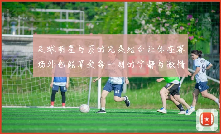 足球明星与茶的完美结合让你在赛场外也能享受每一刻的宁静与激情