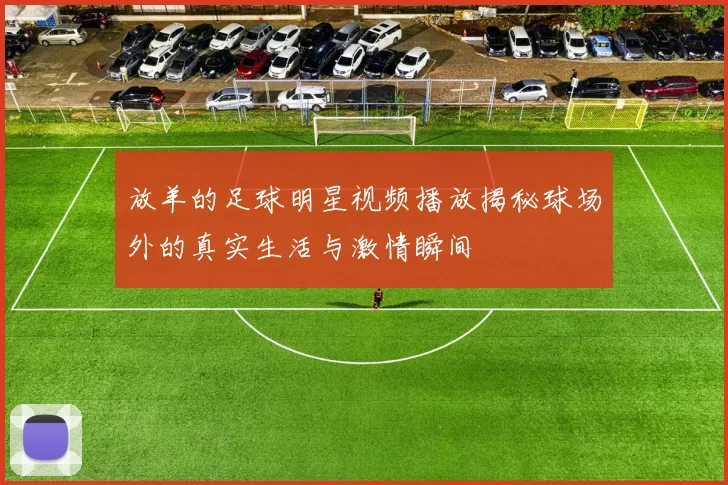 放羊的足球明星视频播放揭秘球场外的真实生活与激情瞬间